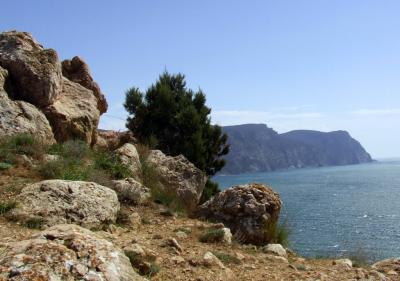 Прикрепленное изображение: B33.jpg